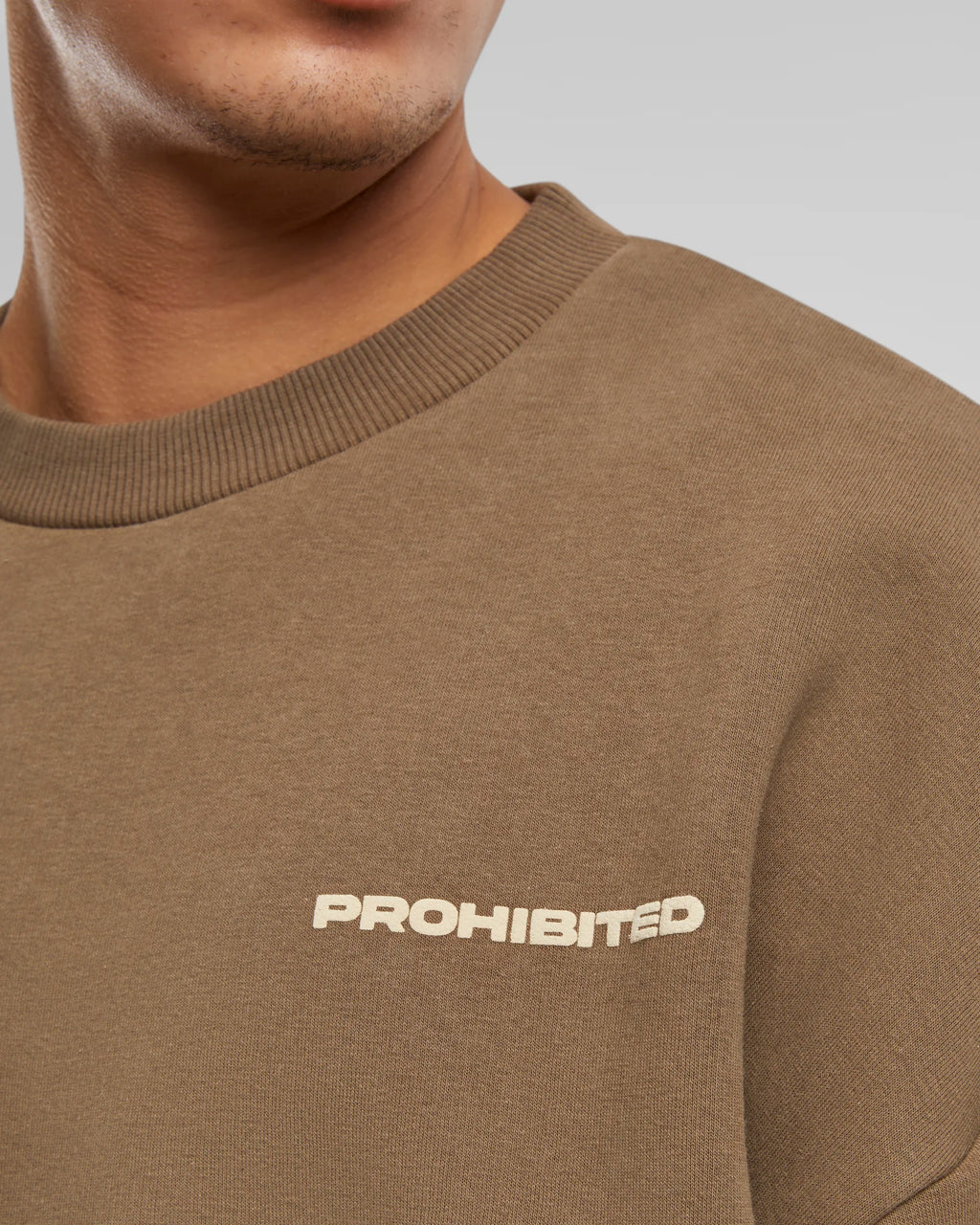 10119 Crew Neck Mokka PROHIBITED
