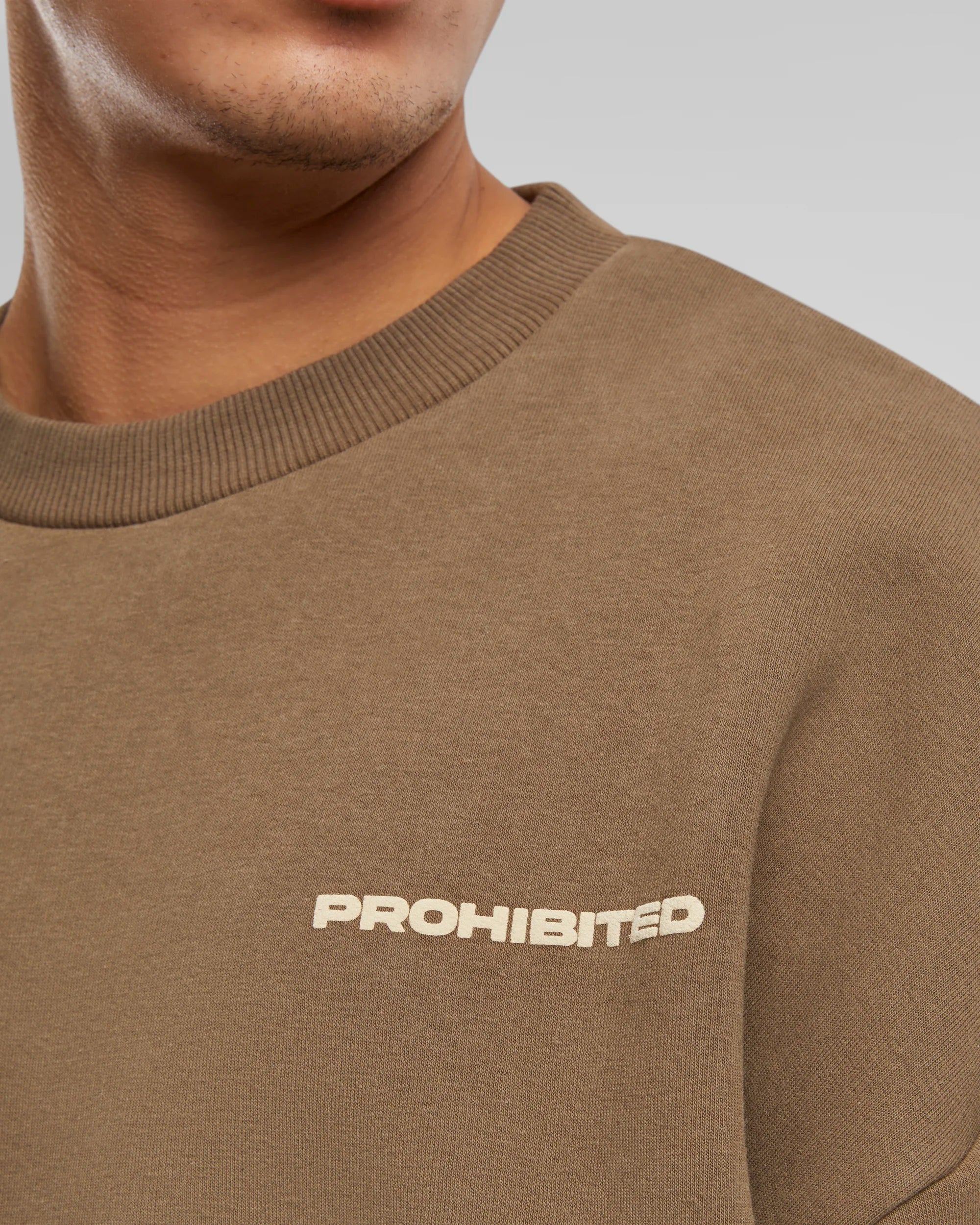 10119 Crew Neck Mokka PROHIBITED
