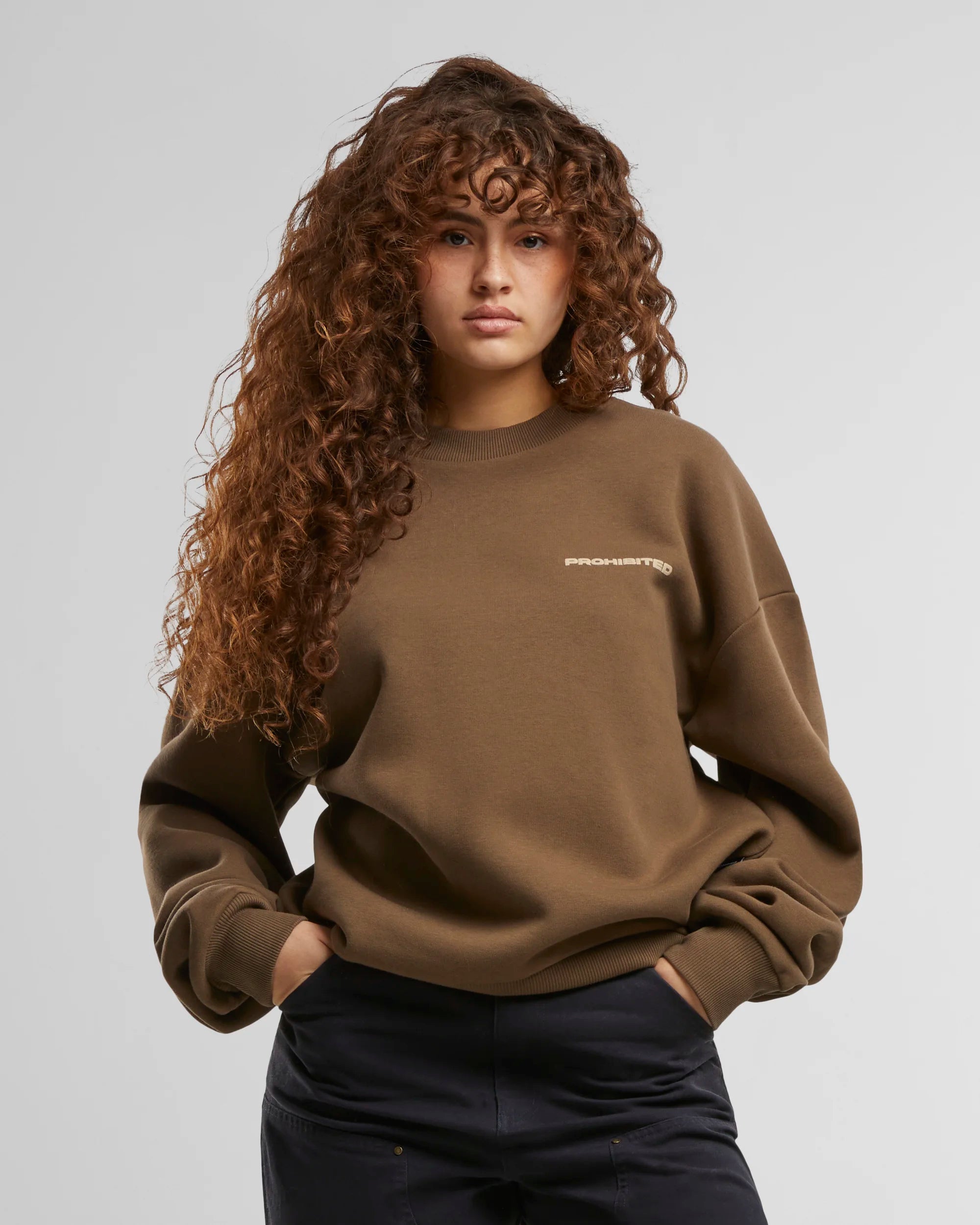 10119 Crew Neck Mokka PROHIBITED